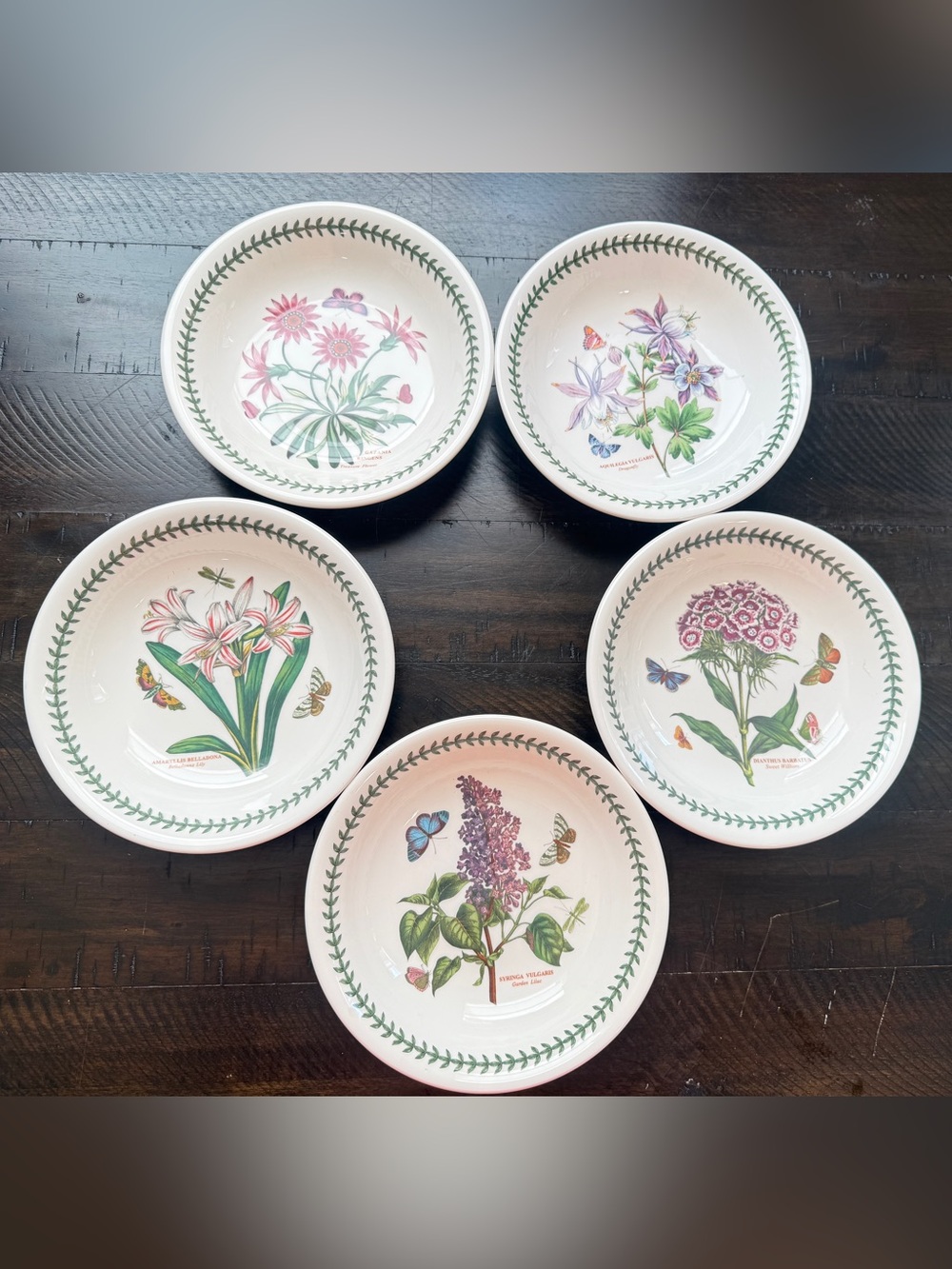 NWT Portmeirion Botanic Garden Floral 8” Pasta Bowls - Set of 5 White & Green